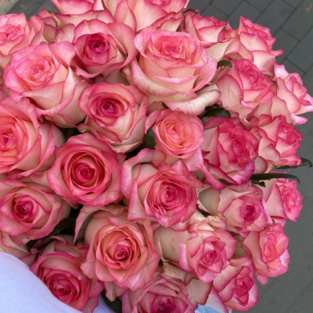 profumi romantici alla rosa