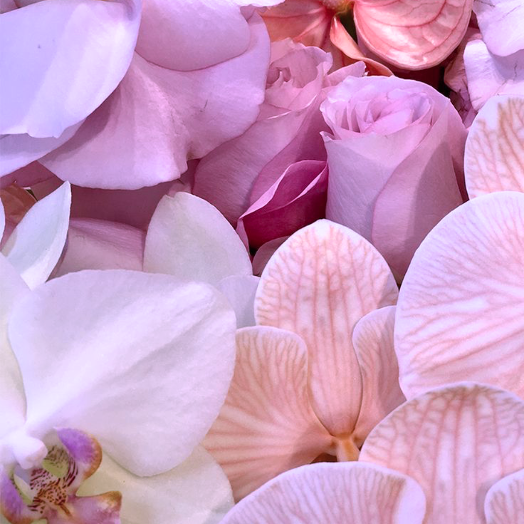 poshdrops fragranze in olio super concentrate